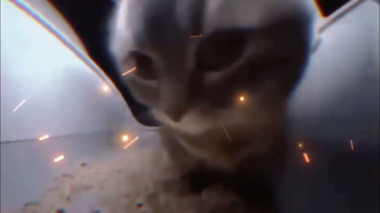 Включи фонк чипи чипи чапа чап. Чип в мультике чип и дейл. Чип и дейл. Чип в мультике чип и дейл. Чип и дейл чип.