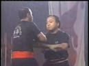 Wing Chun - The Ultimate Demonstration