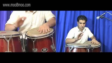 mooBmoo com Tumba E008