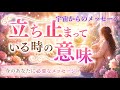 《🔮スピリチュアルが強いリーディングでした🤗🔮》✨お話しコーナーあります💕✨【数秘術占い師のカードリーディング】