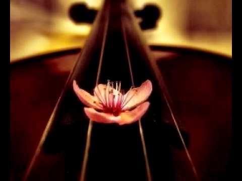 Rachel Grace plays "Renge" on electric violin