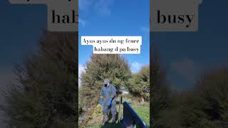 #fencing #fixing #farmlife #dry