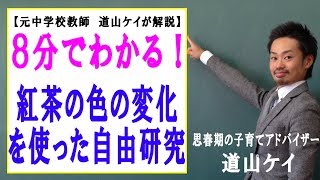 道山ケイ 自由研究 動画厳選 ７選 10円玉 紫キャベツ カビ 重曹と酢 牛乳 紅茶 理科の自由研究 これは役に立つ