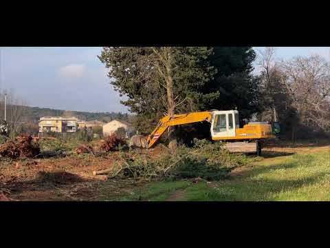 ZAP AGROPARC MASSACRE A LA TRONCONNEUSE 7 FEVRIER 2023