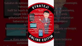 7. Sınıf Türkçe 1. Dönem 1. Yazılı