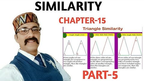 Similarity. Class 10 Maths ICSE. Exercise-15(A). Part-5