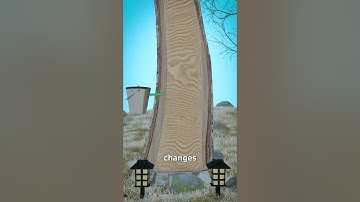 How Maple Sap Becomes Syrup 🤔