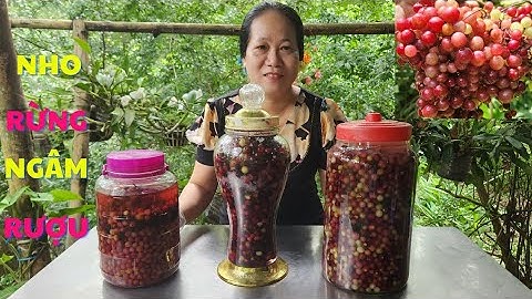 Cách ngâm rượu nho rừng rất dễ