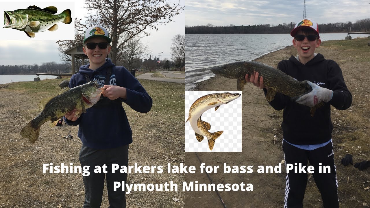 Fishing at Parker’s lake for bass and pike YouTube