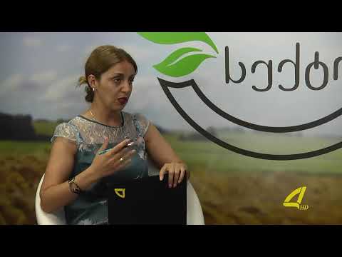 საადრეო კარტოფილის მოვლა-მოყვანის ტექნოლოგიები