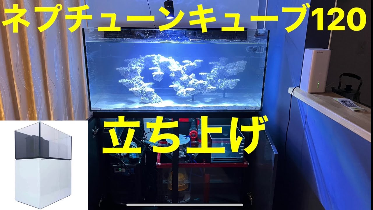 ネプチューンキューブ120cm水槽立ち上げました！！ - YouTube