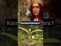 kantara/kantara chapter 1 #movie #actressshorts #kantara #kantarachapter1 #shorts #reels