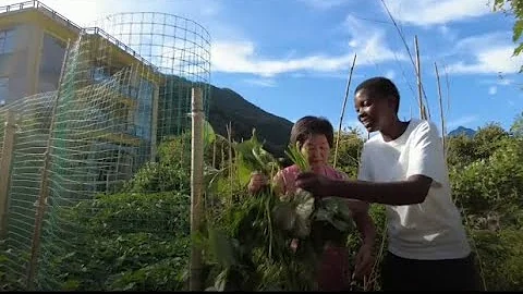 Ugandan vlogger shares rural life in China's Zhejiang - DayDayNews