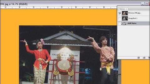 Learn How Too Use The History Brush Tool In Photoshop CS3