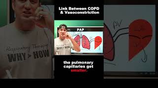 The Link Between COPD & Vasoconstriction