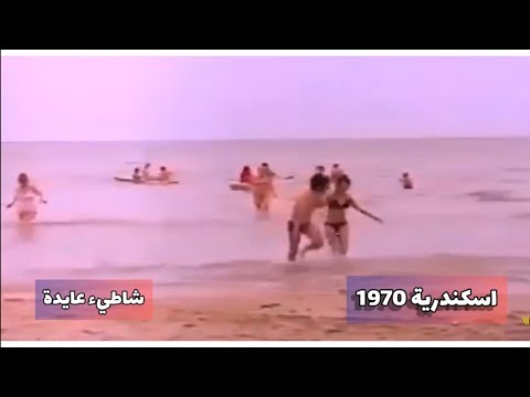 اسكندرية 