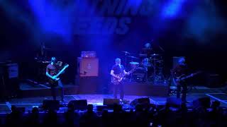 The Lightning Seeds - Perfect (Live) - Ipswich Corn Exchange - 02-10-2025