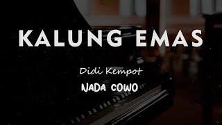 Download Lagu KALUNG EMAS // Didi kempot //  KARAOKE PIANO AKUSTIK NADA COWO ( MALE ) MP3