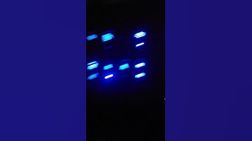 Different World‼️ #logger #trending #tree #logginglife #logging #excavator #loggingtruck #shortpants