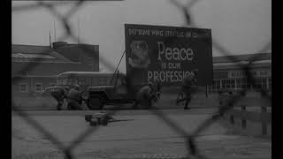 Peace Is Our Profession
