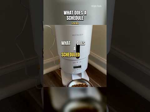 Watch One Scheduled Feeding Happen video thumbnail