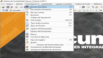 CALCUM 2 - COPIAR ASIENTOS CONTABLES