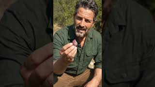 What Raw Ruby Look Like in Nature – Don’t Ignore Them! #rubies #crystals #gemstones