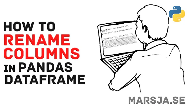 How to Rename Columns in Pandas DataFrame