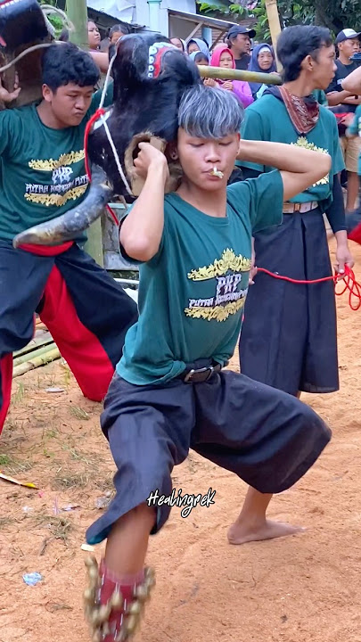 Kerasukan Banteng Gayeng #jaranan #shortvideo #bantengan #kudalumping #shorts #bantenganmalang