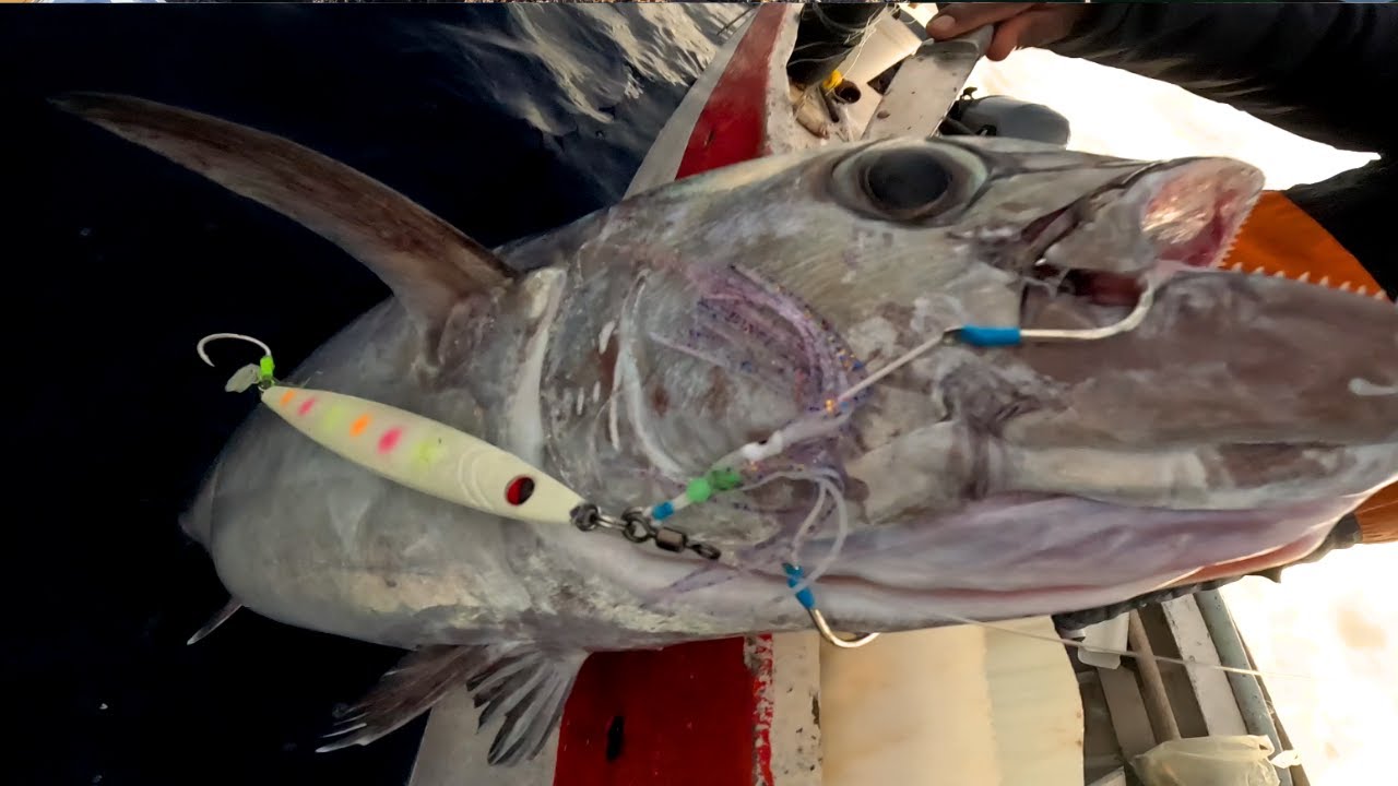 Fishing the depths of Mauritius