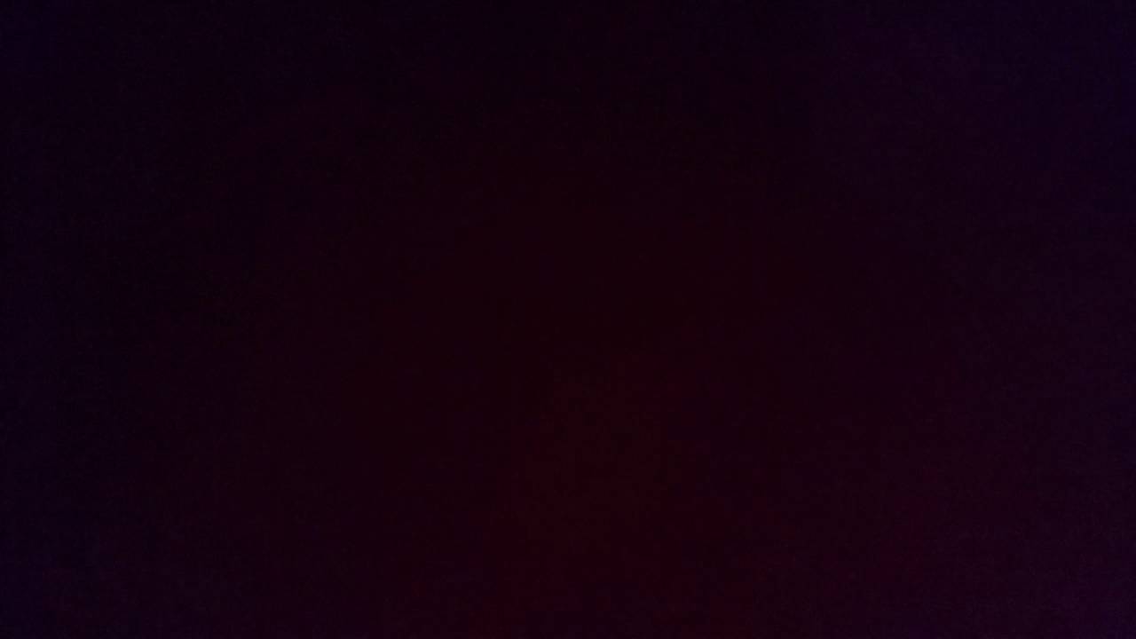 4 Million Cheers for Leafy (Official Music video) by fanchild