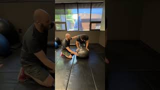 Stability Ball Push up hands on ball