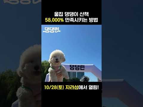 10월 말 <strong>자라섬</strong> = 우리집 강아지 행복.