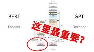 Transformer最重要的模块？Tokenizer的算法竟然如此草台班子？