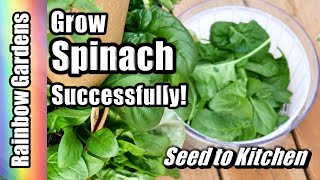 How to Grow 90 Spinach Plants in only 2 Square Feet! Seed to Kitchen! Plant, Harvest, Freeze, Cook!