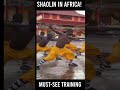 SHAOLIN MONK Insane Performance Chinese Kungfu In Africa ShaolinKungFuInstructional