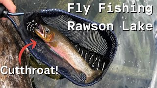 Fly Fishing For Cutthroat & Bull Trout In Kananaskis Alberta