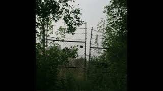 [FREE] deftones + shoegaze + alternative rock type beat - ESCAPE