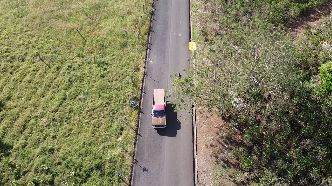 Puerto Rico's Finest - Longboard and CBD Hemp Cigarettes