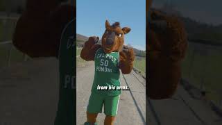 The Origin Story of Cal Poly Pomona Mascot Billy Bronco