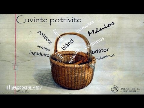 Johnny Barbieru - Cuvinte Potrivite -Partea I -Cuvinte potrivite pentru mâniosi