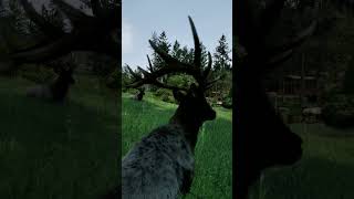 Your missions in Rangers Path: National Park Simulator! 🏕️ #simulationgames #nationalpark @astragon