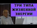 Три типа жизненной энергии