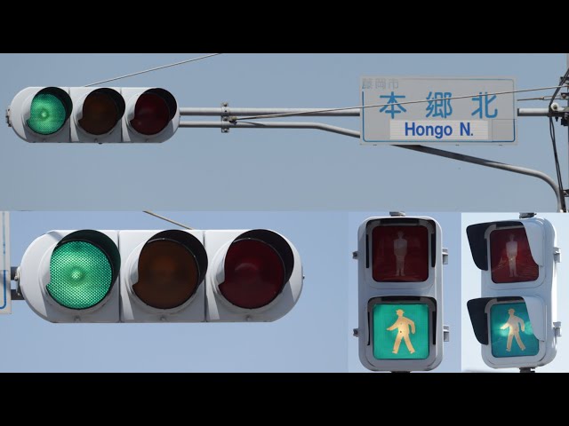 群馬ではレア】 信号電材一体型ブツブツレンズと多眼レンズ歩灯が設置