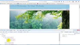 Web B! - Basic Web Development - Class #2