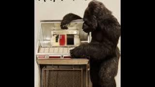 Download lagu Bruno Mars - When I Was Your Man