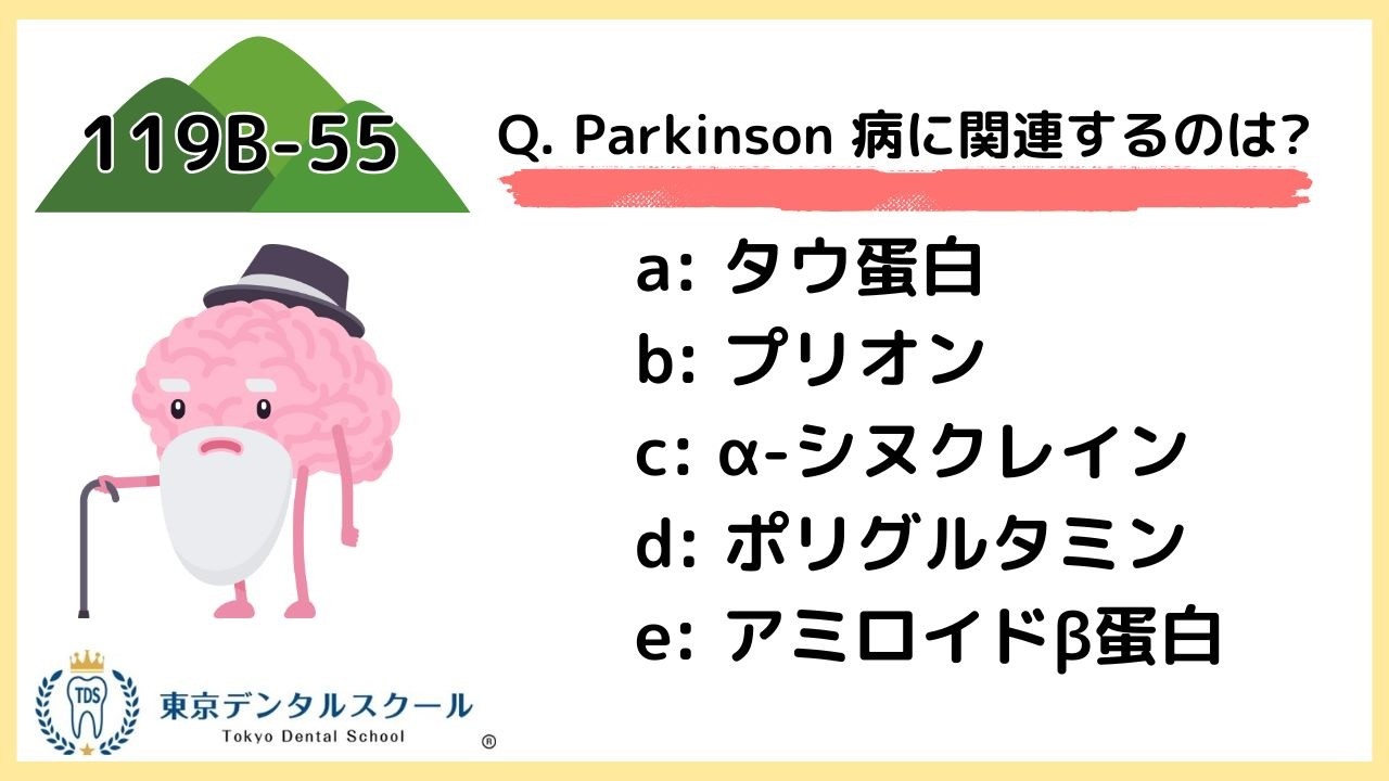国試で押さえるα-シヌクレインとパーキンソン病【119B55】