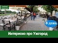 Ужгород - Закарпатье, Боярышник красиво цветёт. 8 день