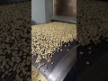 Tunnel type high temperature oven #machine #factoryproducts #factory