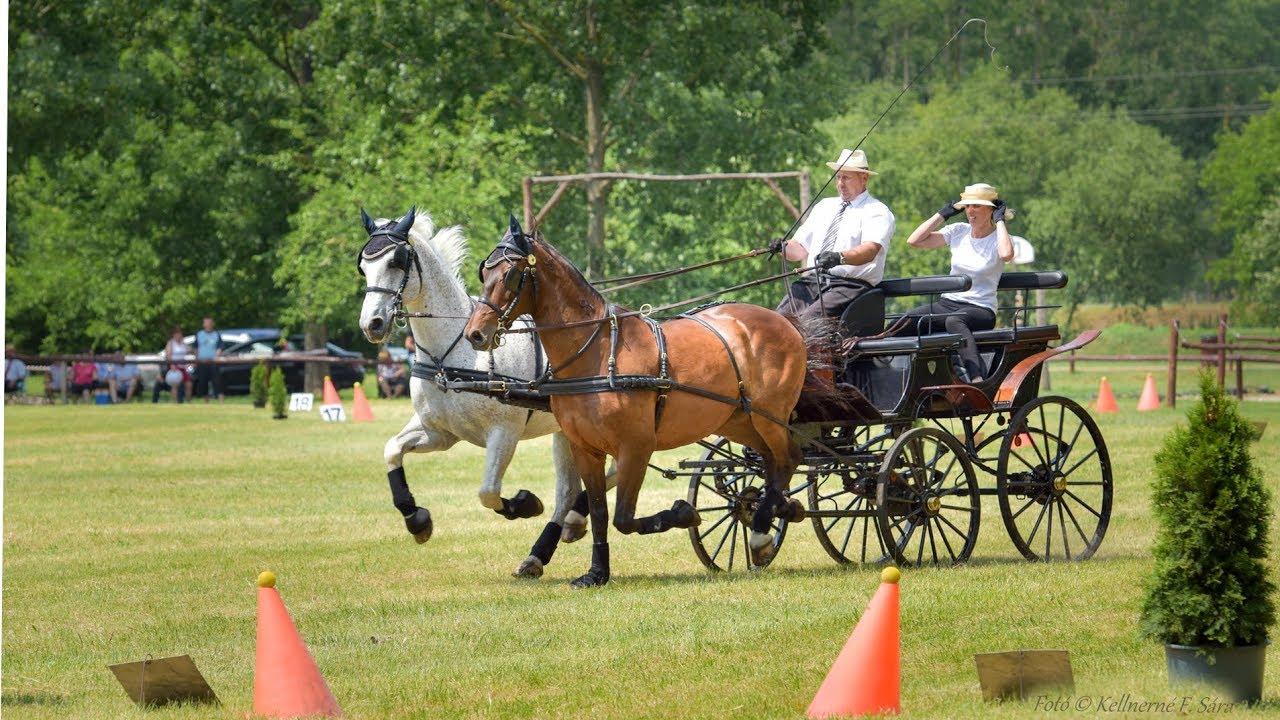 Érsekcsanád - Szabadidőpark: Fogathajtóverseny (2018. május 27.)